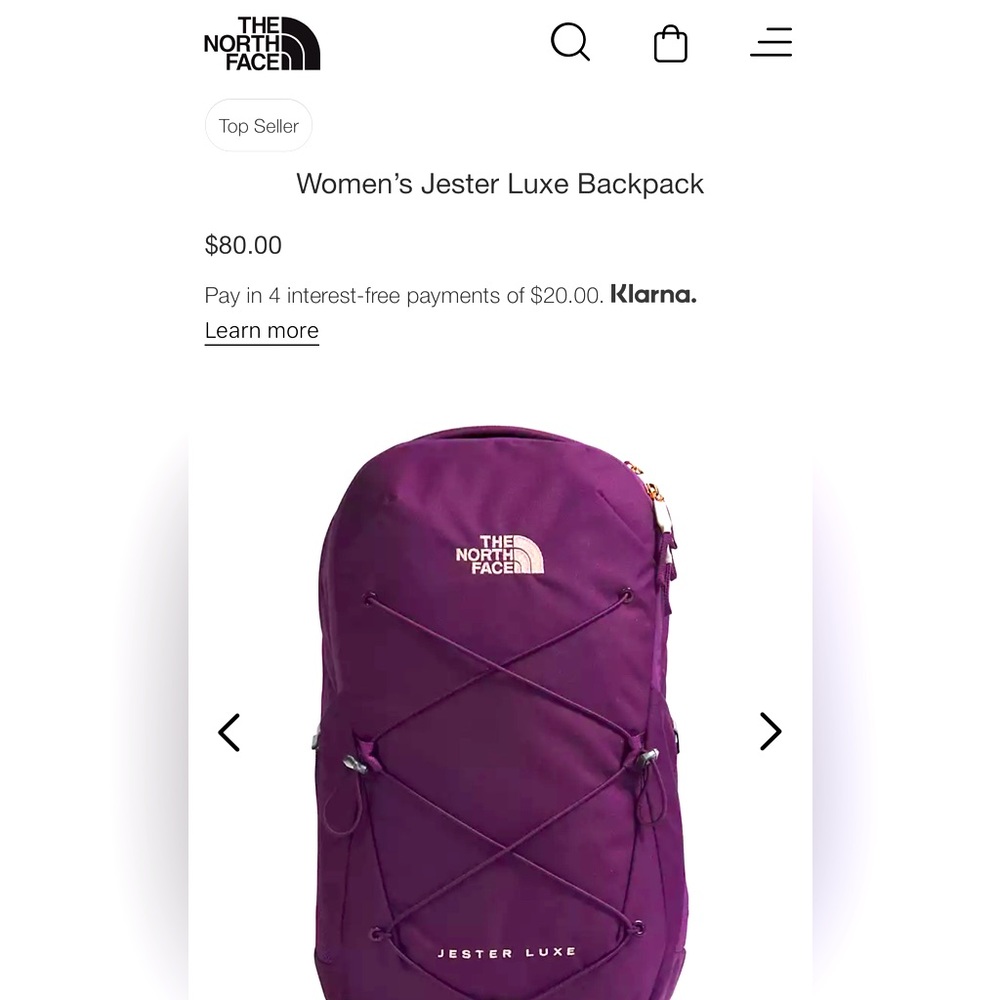 The North Face Backpack Jester Luxe BNWT
